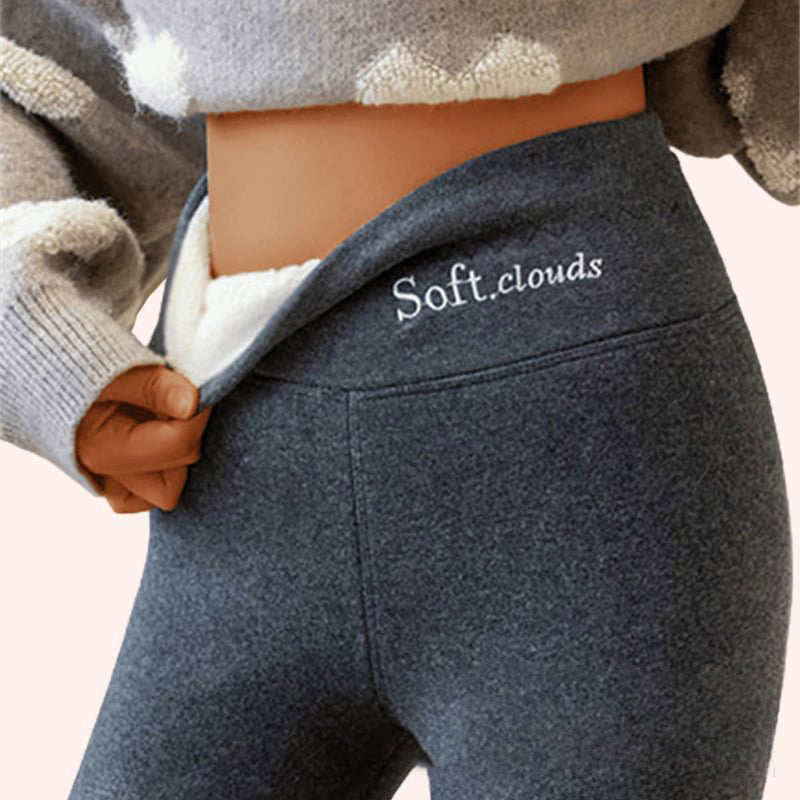 Women's Outer High Waist Hip Lift Leggings Fleece-lined Shark Pants 