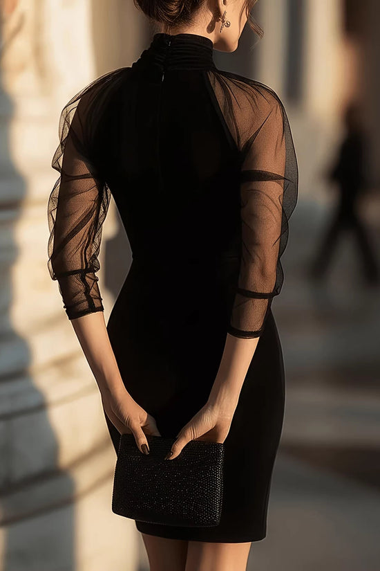 Elegant Long Sleeve Sheath Dress with High Neck and Mesh Overlay for Formal Evening Wear 
