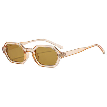 Transparent Orange Frame Dried