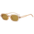  Transparent Orange Frame Dried
